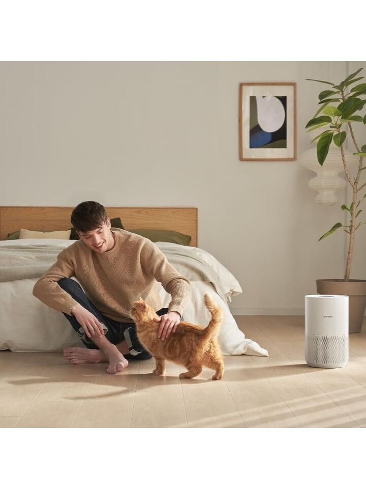 Xiaomi Smart Air Purifier 4 Compact Akıllı Hava Temizleyici